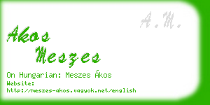 akos meszes business card